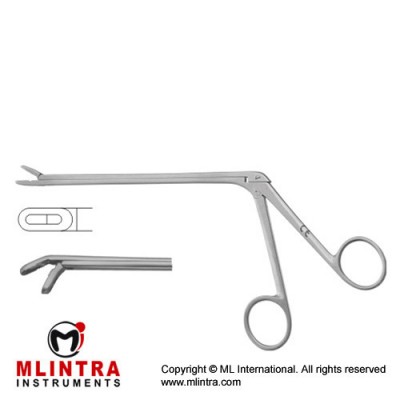 Leminectomy Rongeur Down - Fenestrated and Serrated Jaws Stainless Steel, 15.5 cm - 6" Bite Size 6 x 16 mm